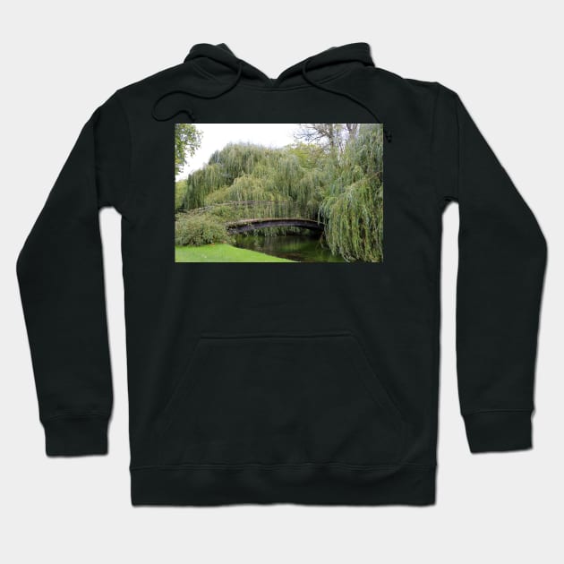 bridge and weeping willow trees Hoodie by pinkal